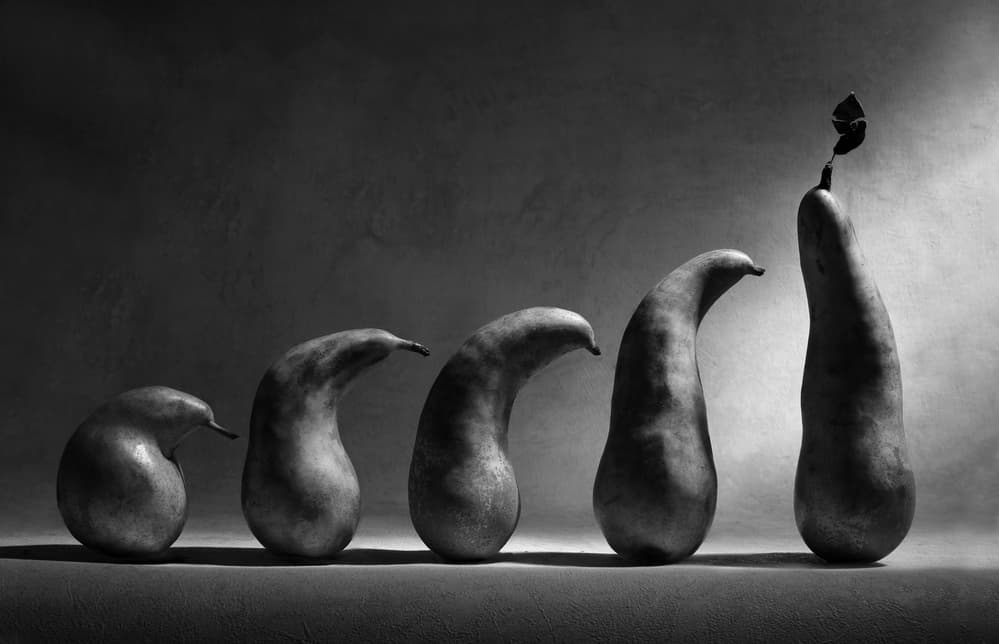 Pears of Progression by Victoria  Glinka — canvas wall art