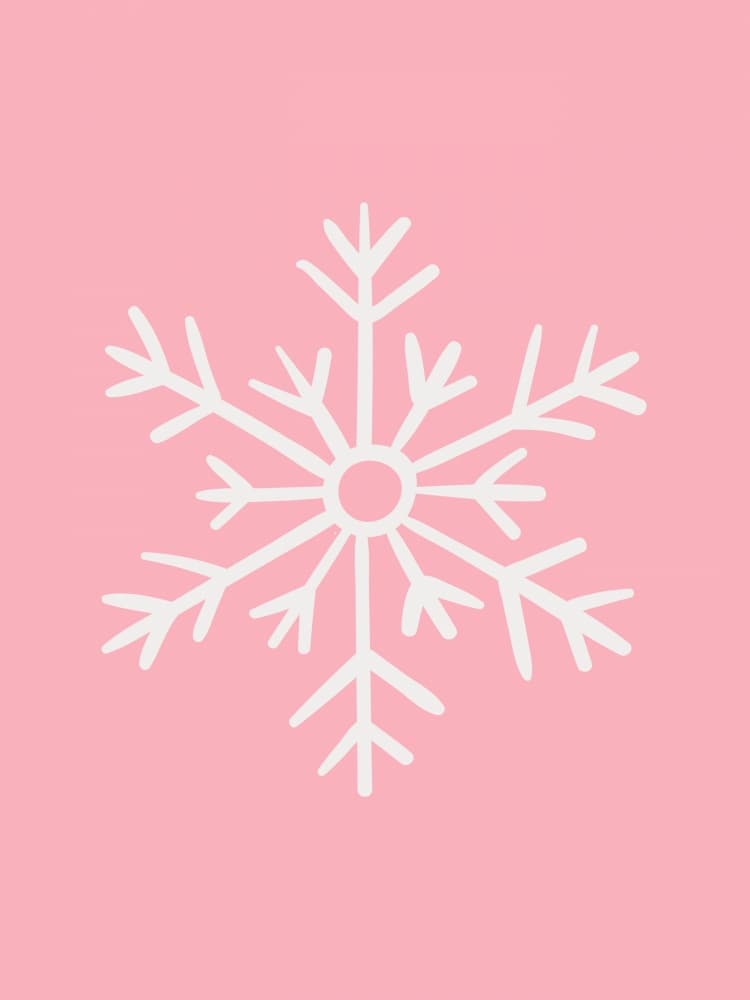 Pink Winter Snowflake by Jolly and Dash — canvas wall art