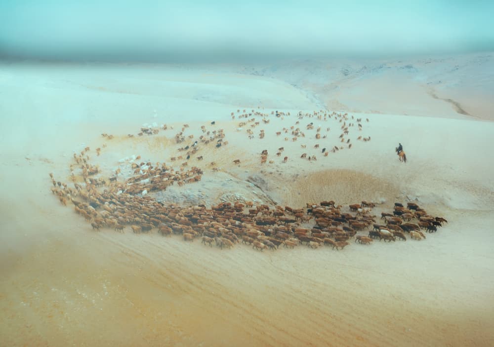 Misty Desert Herding by Gu and Hongchao — canvas wall art