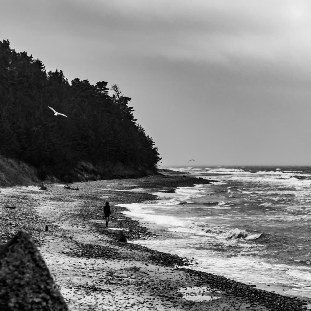 Rocky Beach Wanderer by Ilze Ozola — canvas wall art