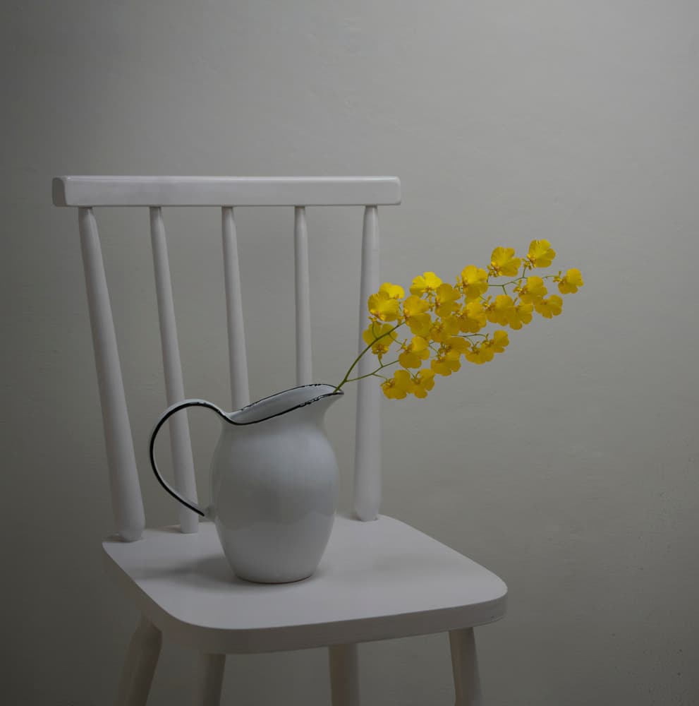 Bright Blooms White Chair by Margareth Perfoncio — canvas wall art
