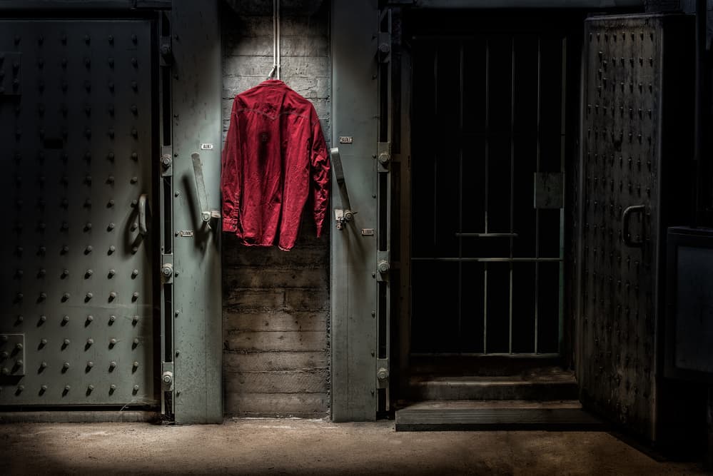 Red Shirt Dark Vault by Petri Damstén — canvas wall art