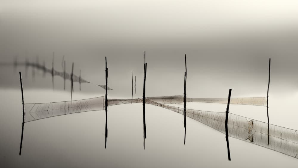 Misty Fishing Poles by Walter Caterina — canvas wall art