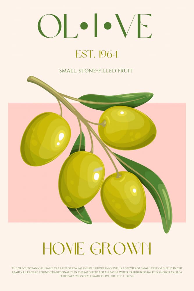 Green Olive Branch by Nazma Khokhar — canvas wall art