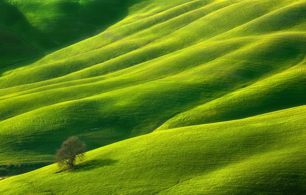 Rolling Green Hills by Krzysztof Browko — canvas wall art