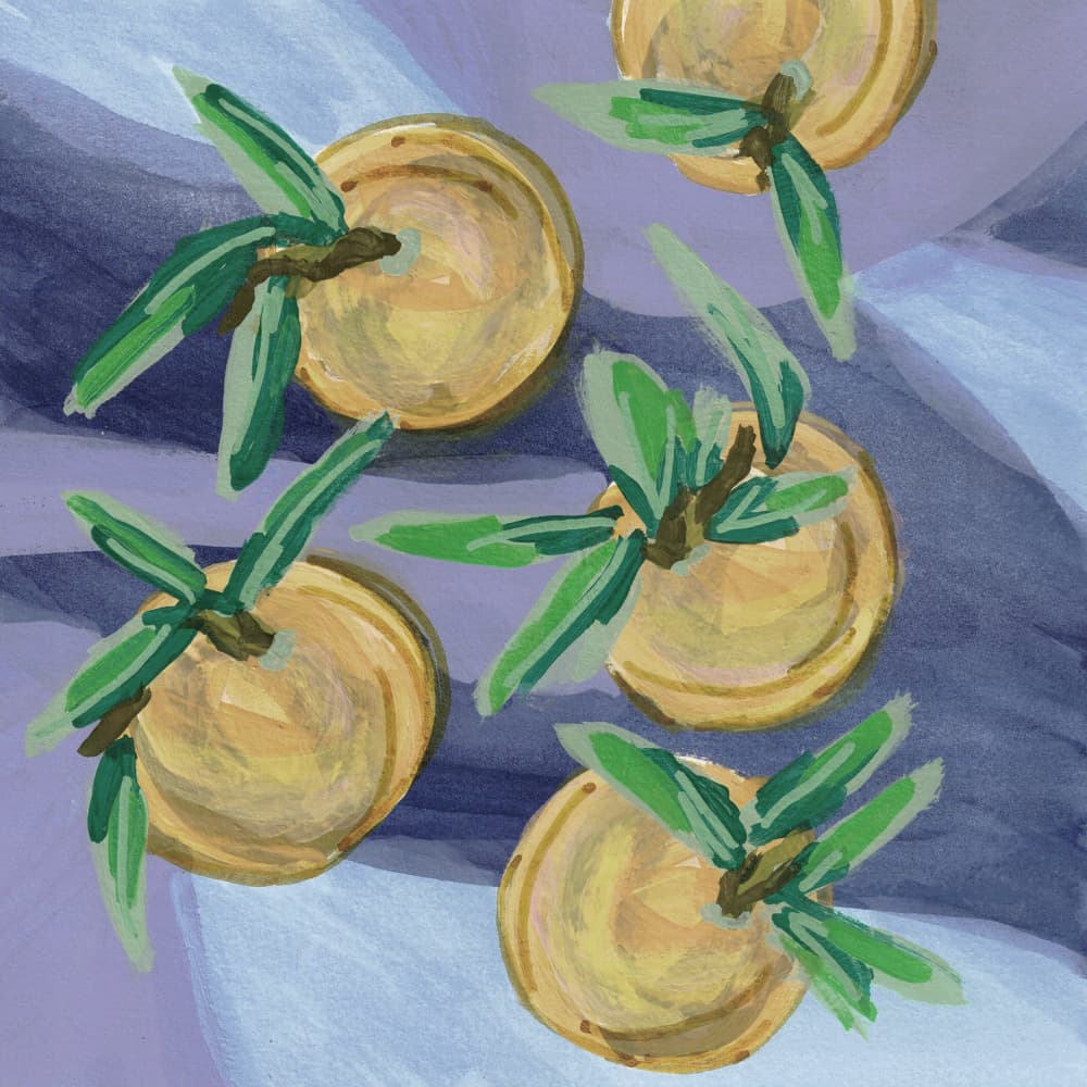 Clementines Pastel Yellow by Lori Ann Folz — canvas wall art