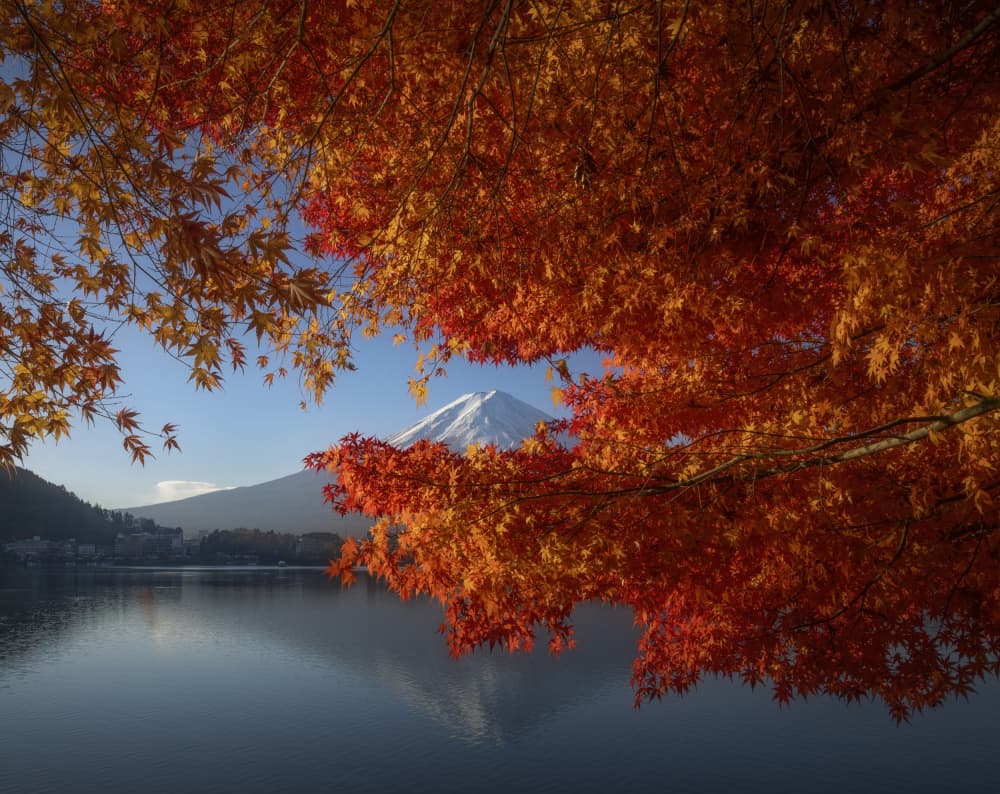 Mount Fuji Autumn Reflection by Raimondo Restelli — canvas wall art