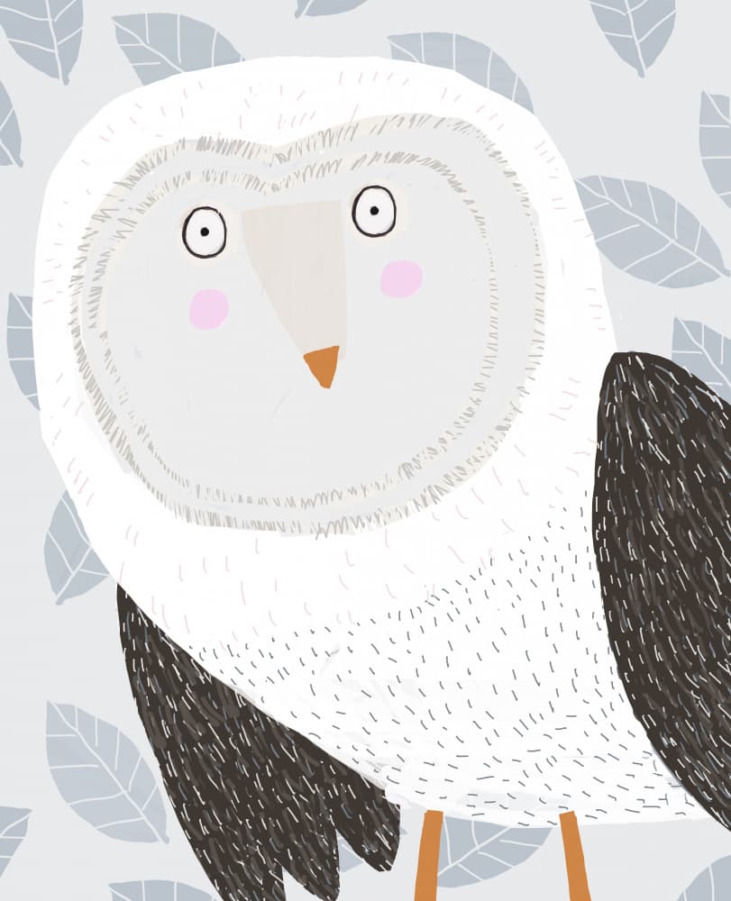 Sweet White Owl by Carla Daly — canvas wall art