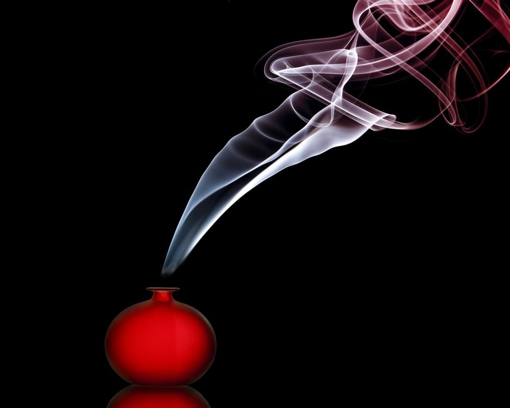 Red Vase Smoke by Renee Doyle — canvas wall art