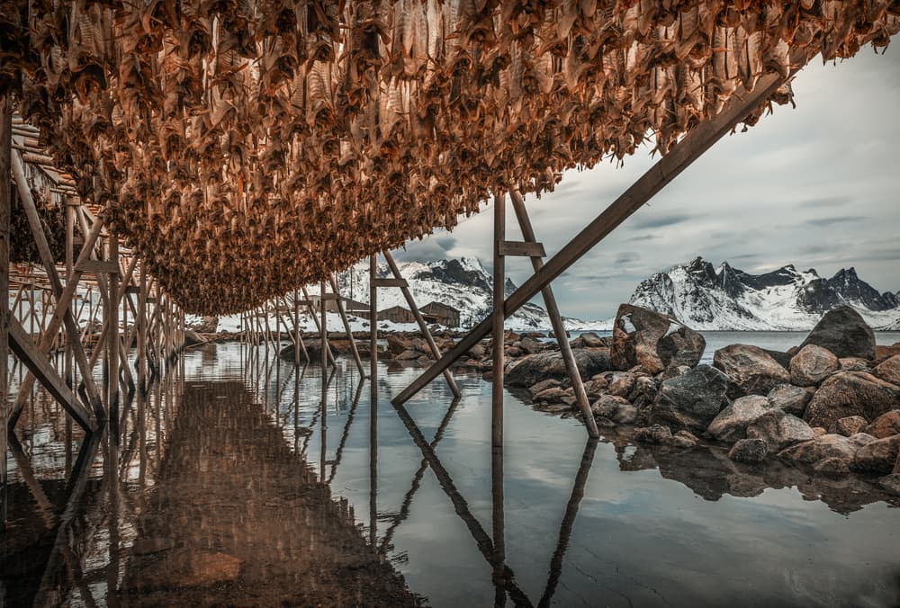 Dried Fish Fjord by Adrian Popan — canvas wall art