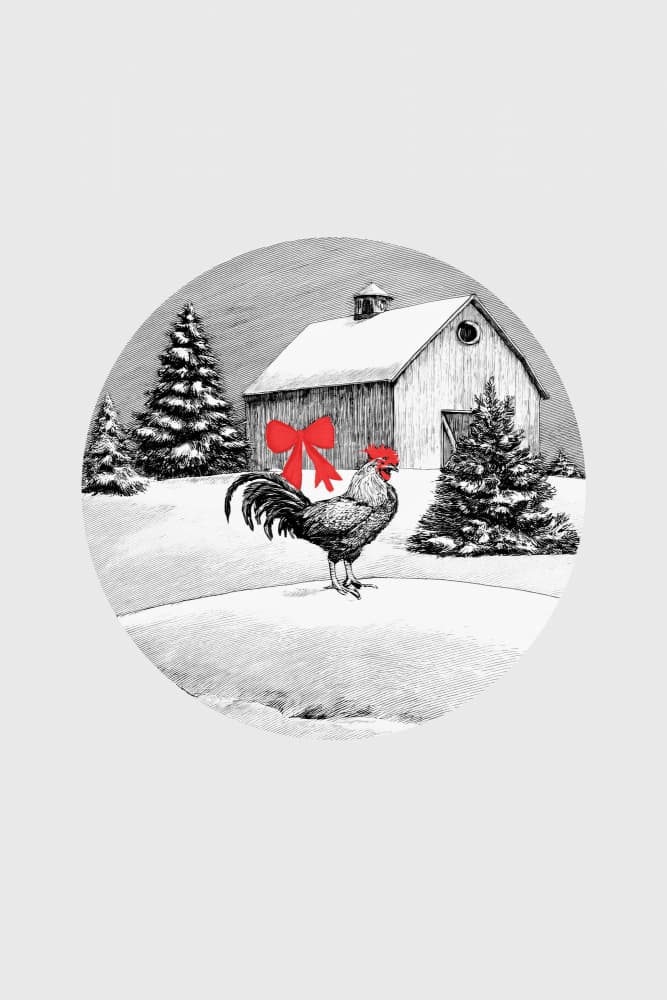 Red Bow Rooster by casa cartissi — canvas wall art
