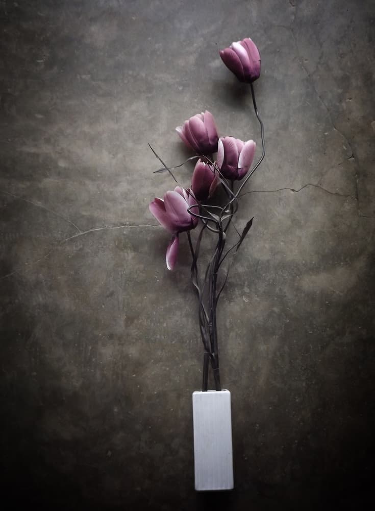 Moody Purple Tulips by Kahar Lagaa — canvas wall art