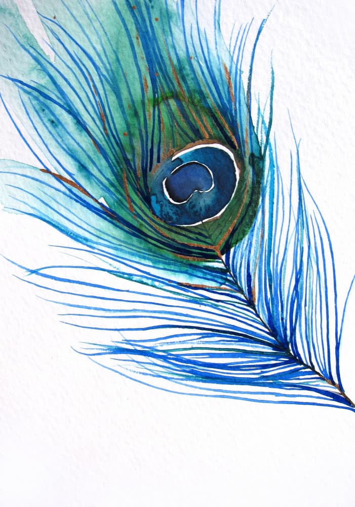 Elegant Peacock Feather by Christine Lindstrom — canvas wall art