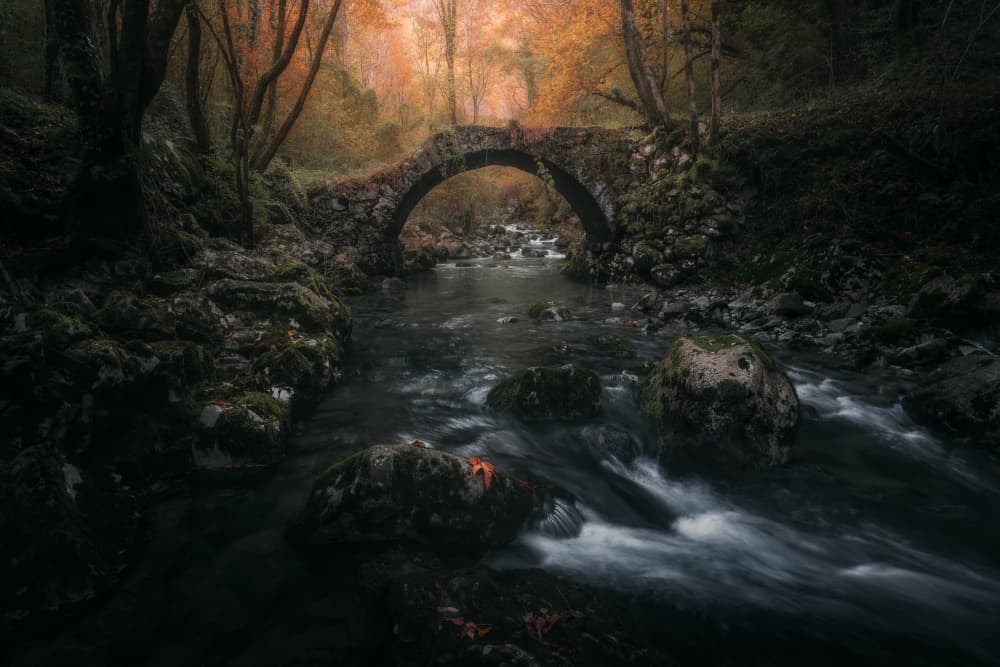 Autumn Forest Bridge by Thomas de Franzoni — canvas wall art