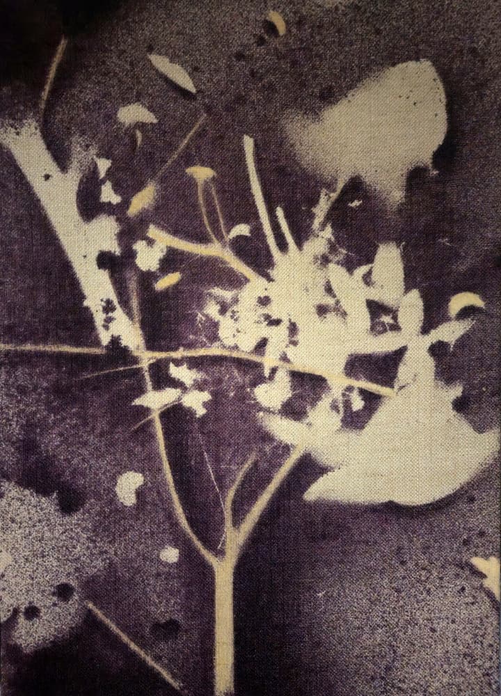Purple Botanical Silhouette by Stefano Mazzolini — canvas wall art