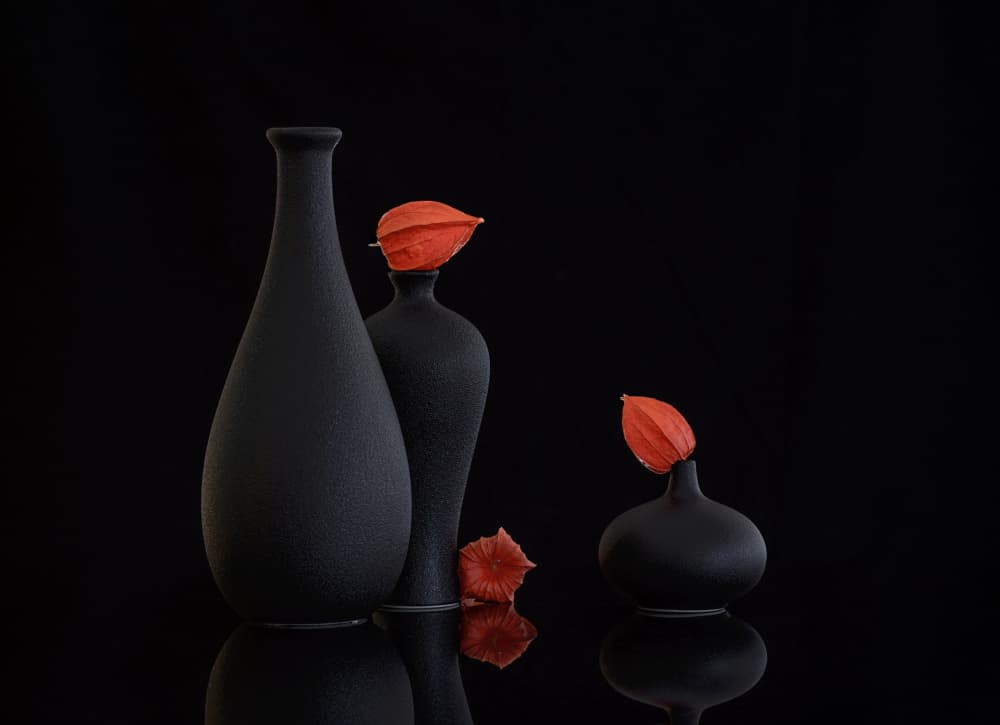 Orange Physalis Still Life by Alice Sheng — canvas wall art