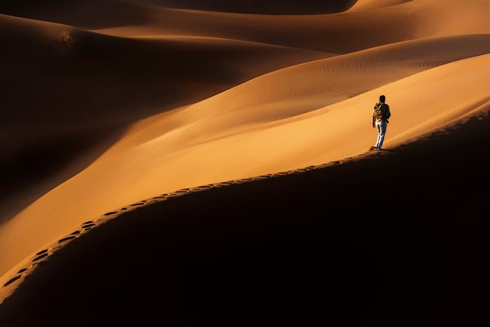 Golden Dune Journey by Ali Asghar Alimoradi — canvas wall art