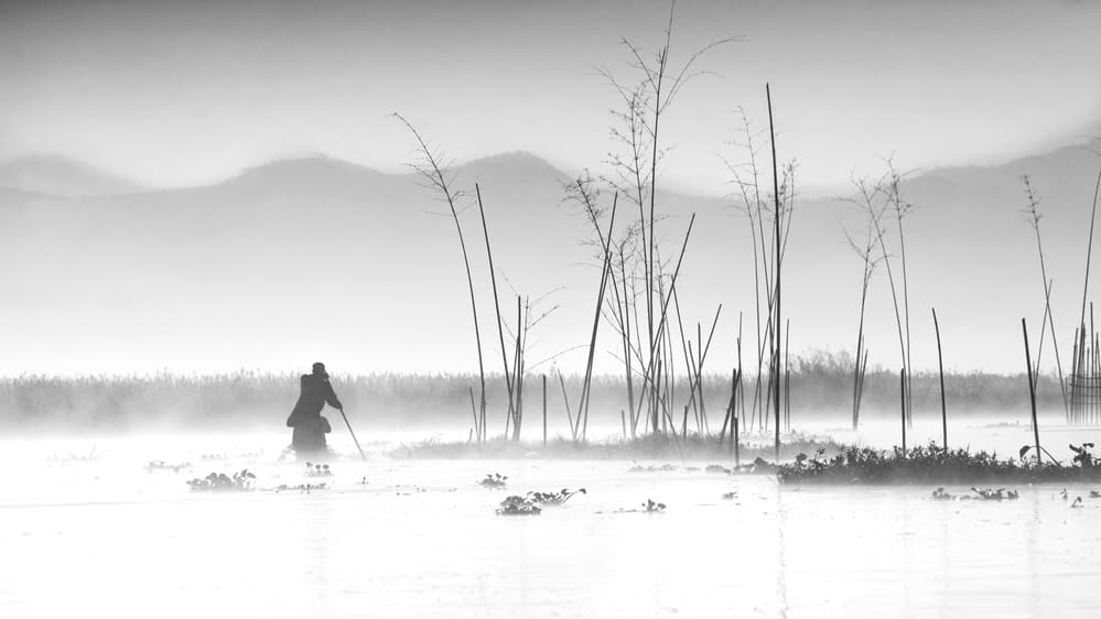 Misty Bamboo Waters by Joe B N Leung — canvas wall art