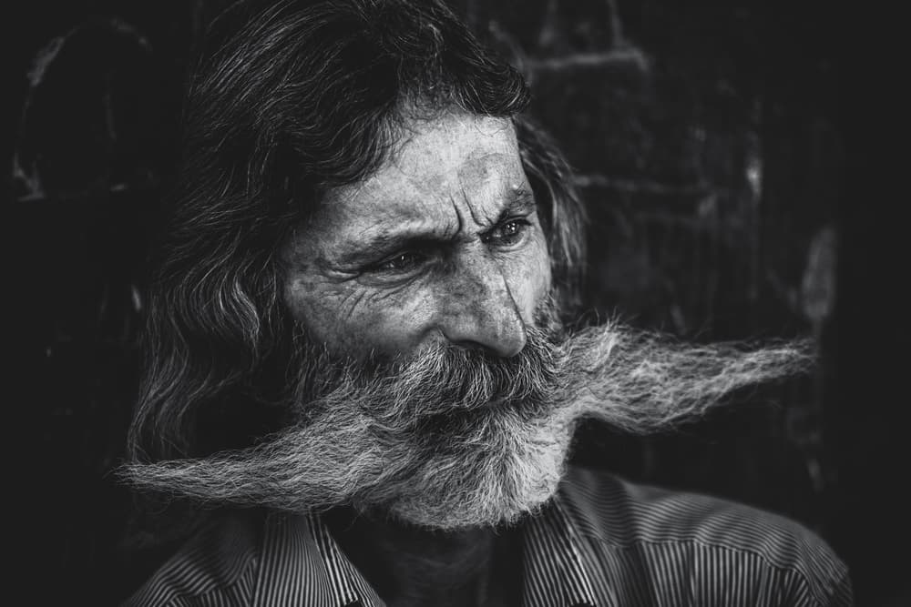 Intense Bearded Elder by Marco Tagliarino — canvas wall art