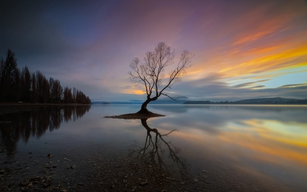 Colorful Lake Tree Reflection by James Zhen Yu — canvas wall art