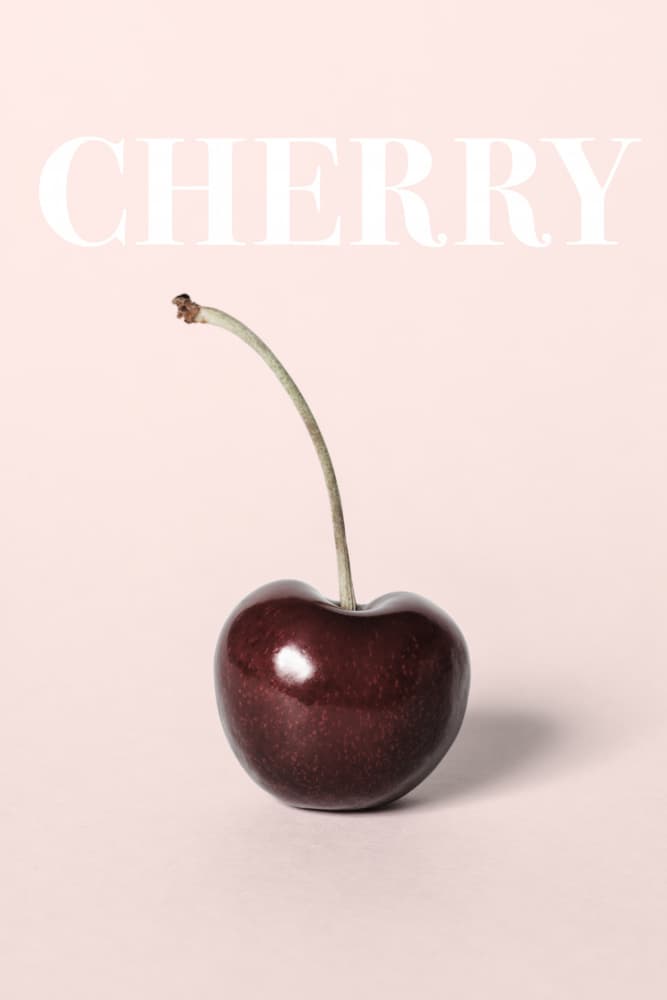 Cherry On Pink by Pictufy Studio III — canvas wall art