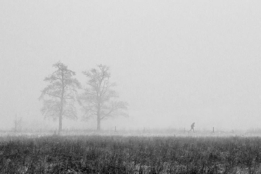 Misty Winter Runner by Marius Cinteza — canvas wall art