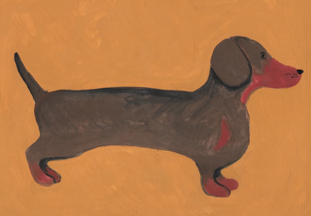 Sweet Dachshund Dog by Lerin Freyou — canvas wall art