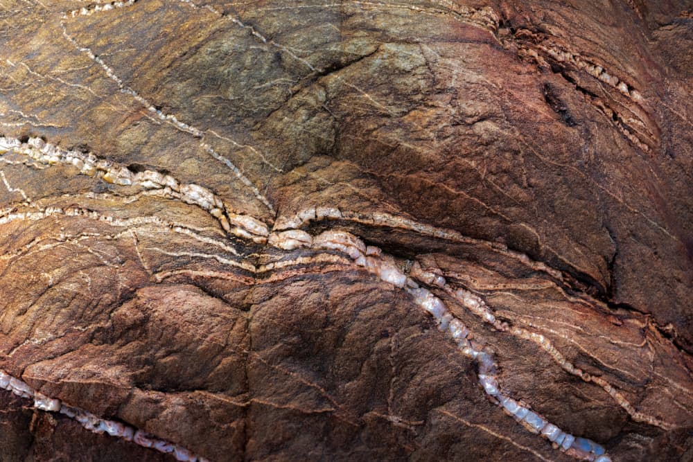 Earthy Veined Rock by Studio Meikle — canvas wall art