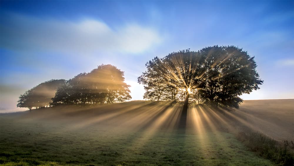 Dramatic Misty Sunrise by Leif Løndal — canvas wall art