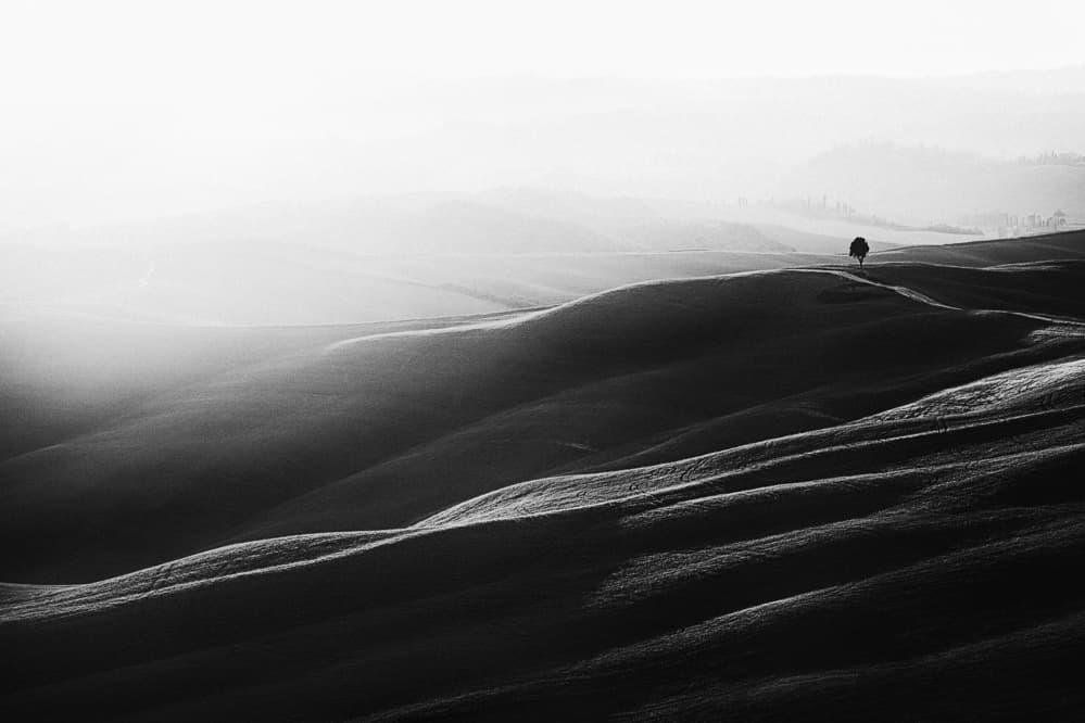 Lone Tree Rolling Hills by Sebastian Prioteasa — canvas wall art