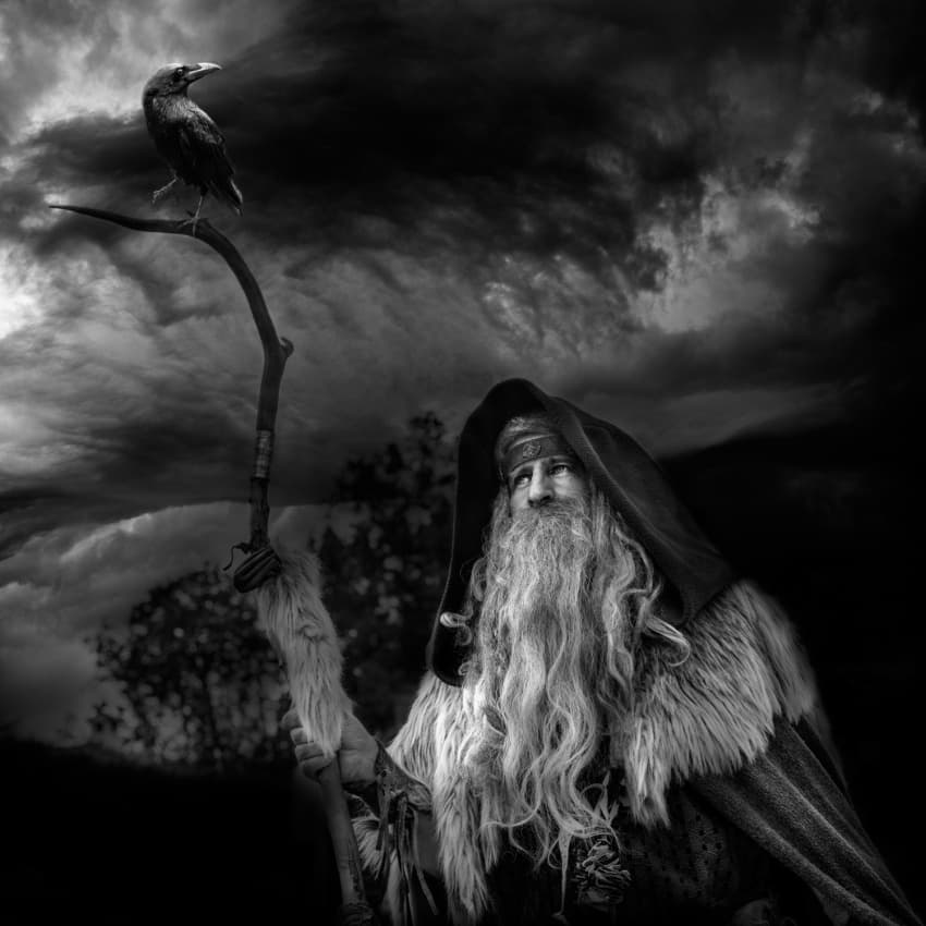 Dark Wizard and Raven by Marco Antonio Cobo — canvas wall art