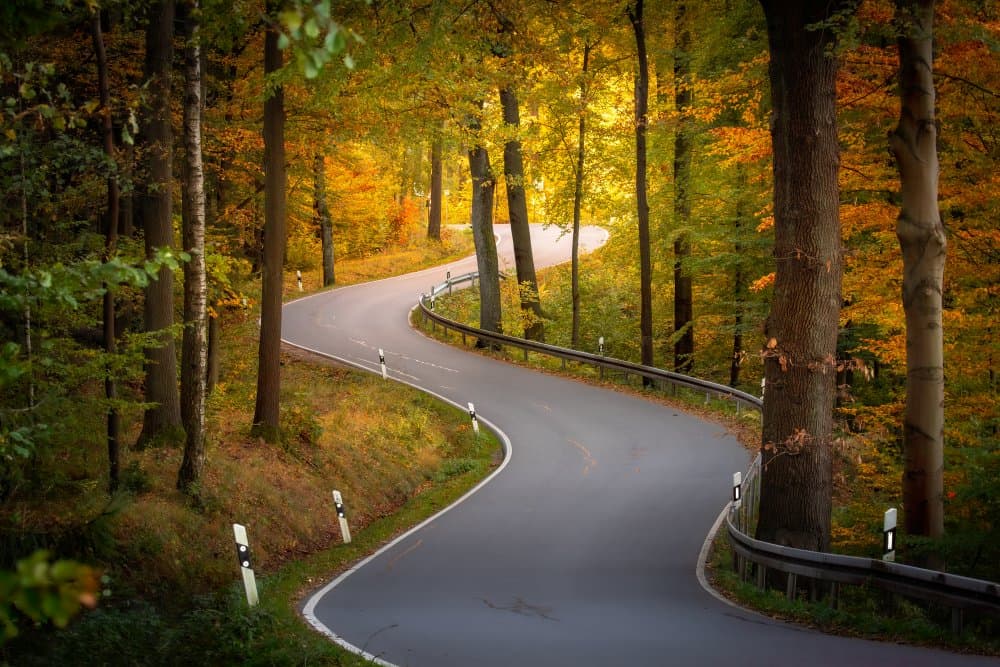 Winding Autumn Forest Road by Christoph Schaarschmidt — canvas wall art