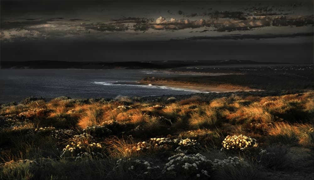 Twilight Coastal Glow by Peter Davidson — canvas wall art