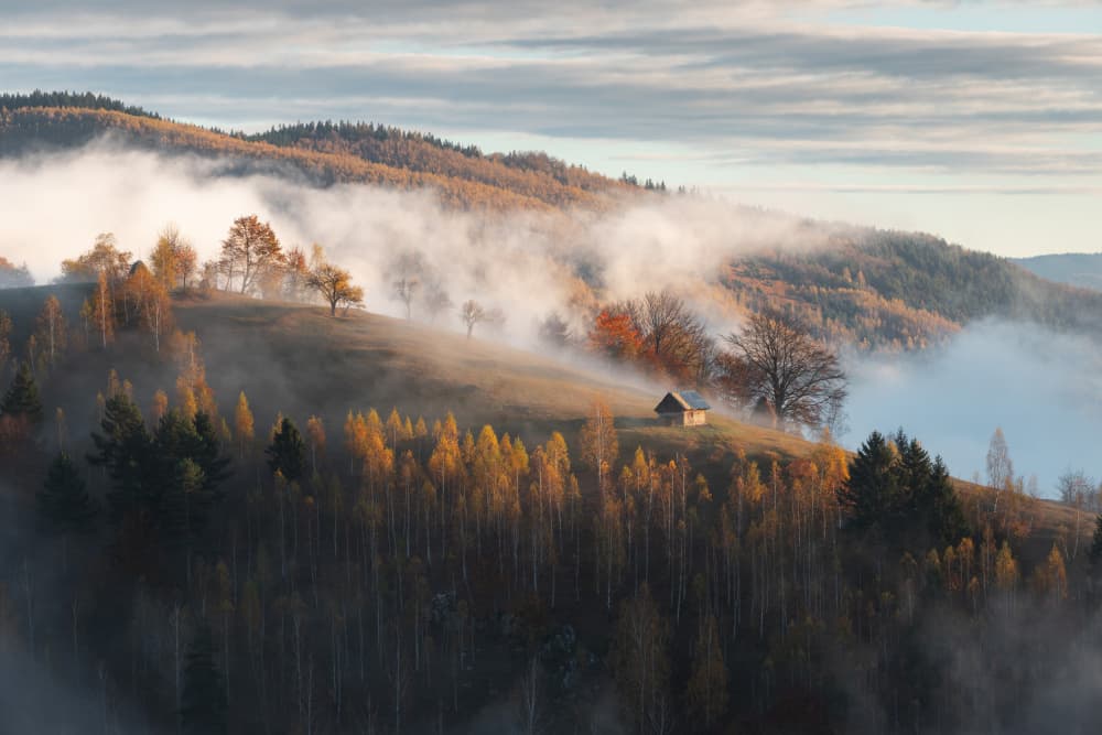Misty Autumn Cabin by Alexandru Ionut Coman — canvas wall art