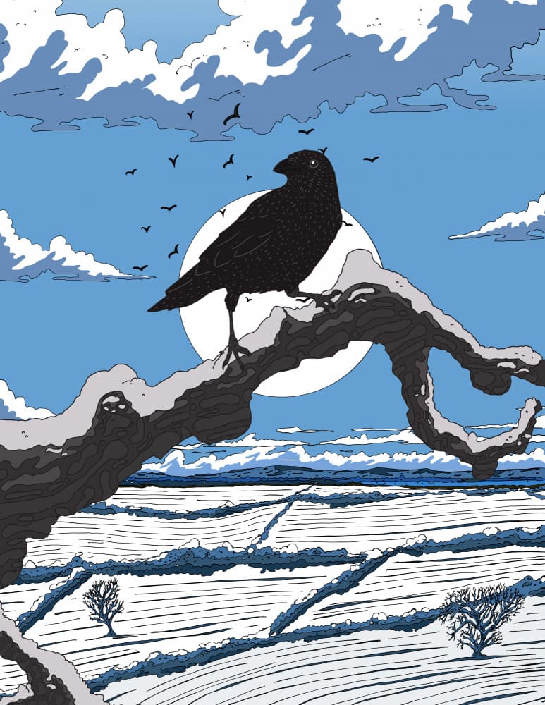 Moonlit Winter Raven by Nicholas — canvas wall art