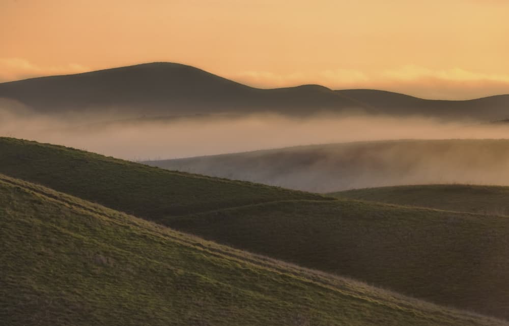 Misty Golden Hills by Jenny Qiu — canvas wall art