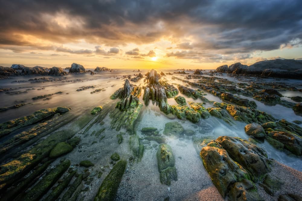 Golden Coastal Sunset by Daiki Suzuki — canvas wall art