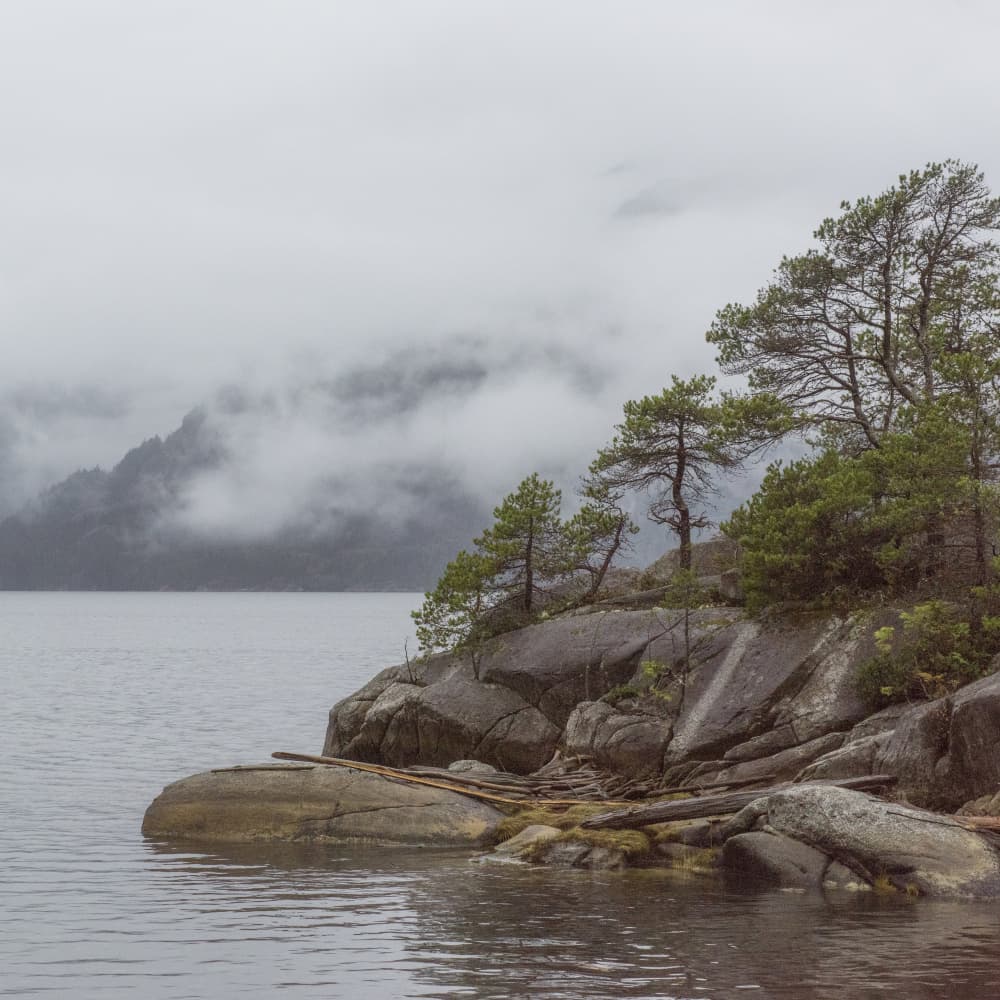 Misty Mountain Lake by Lynann Colligan — canvas wall art