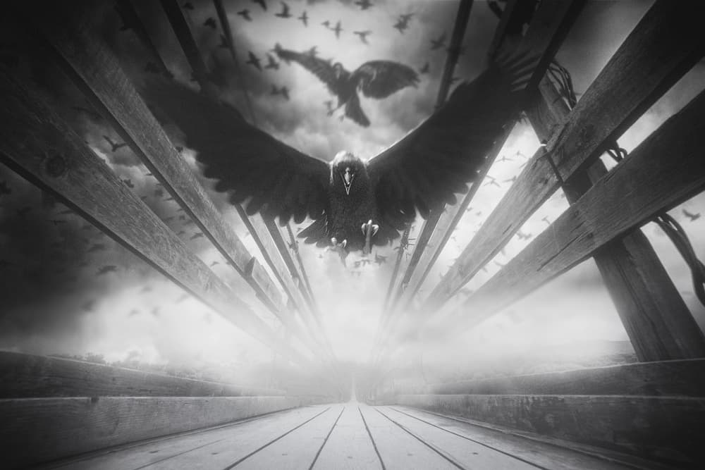 Dramatic Flight Path by Аntonik — canvas wall art
