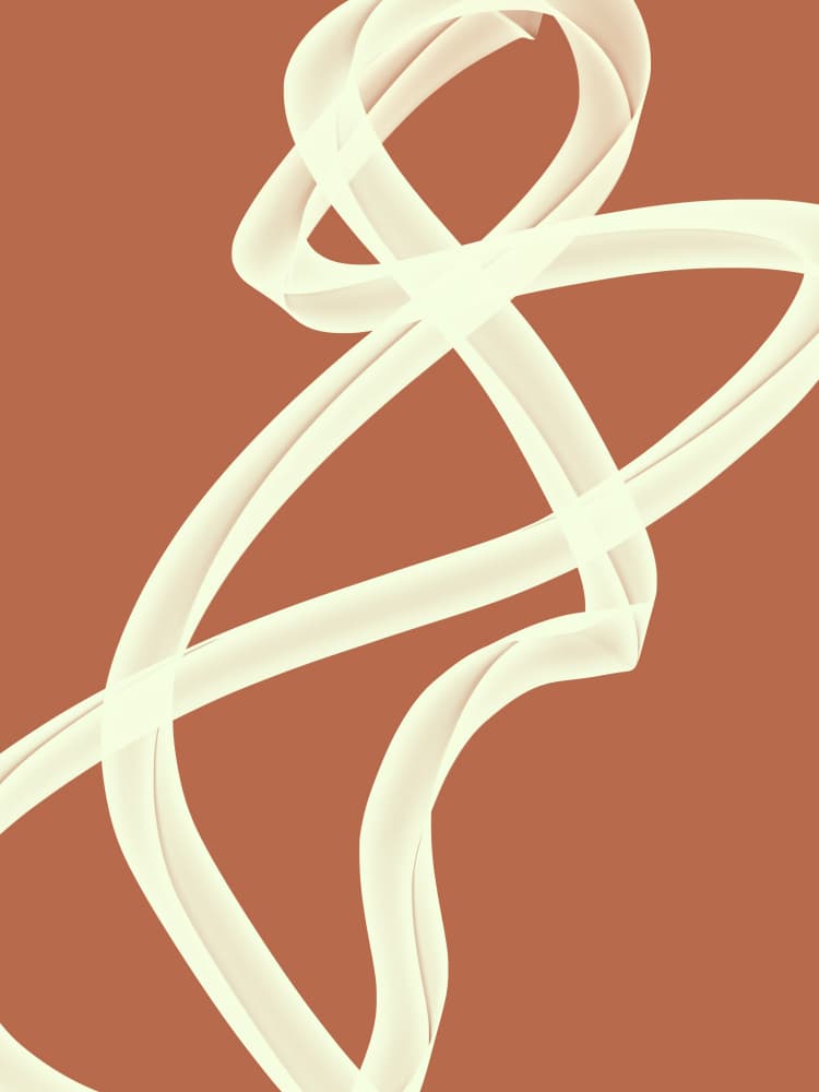 Flowing Abstract Lines by Studio Palette — canvas wall art