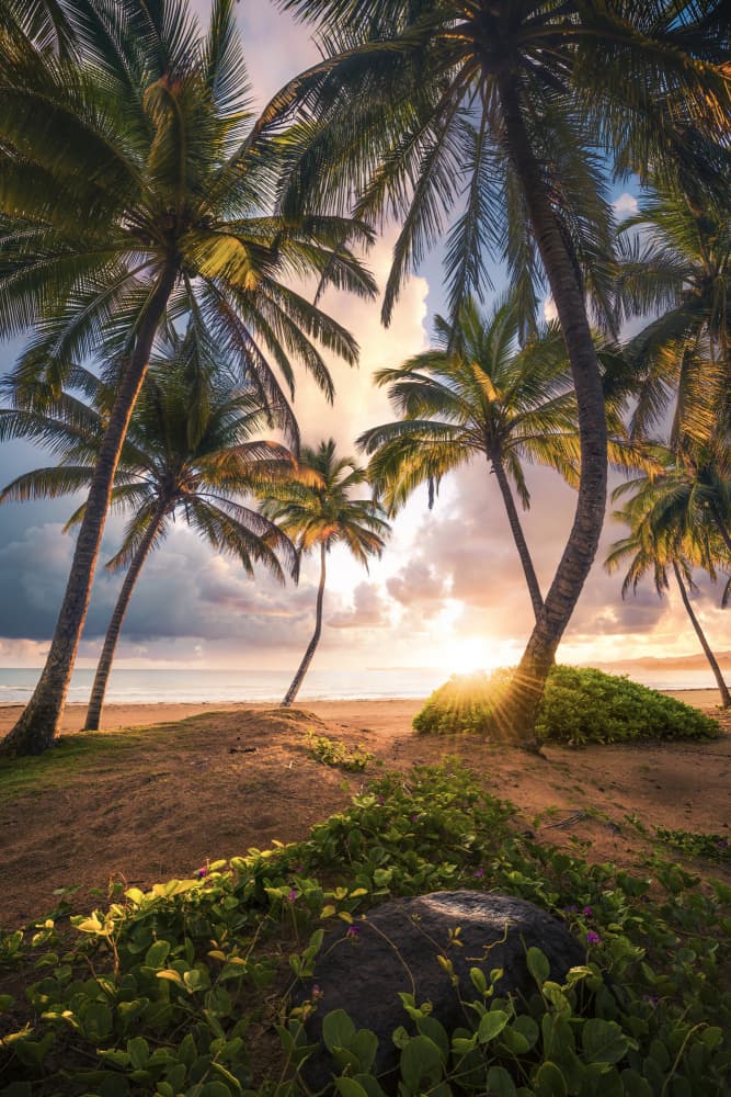 Vertical Paradise by Stefan Hefele — canvas wall art