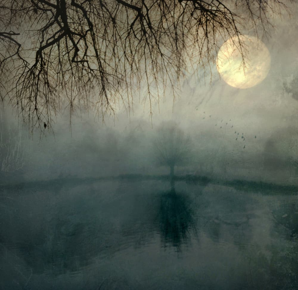 Moonlit Misty Lake by Robert Fabrowski — canvas wall art