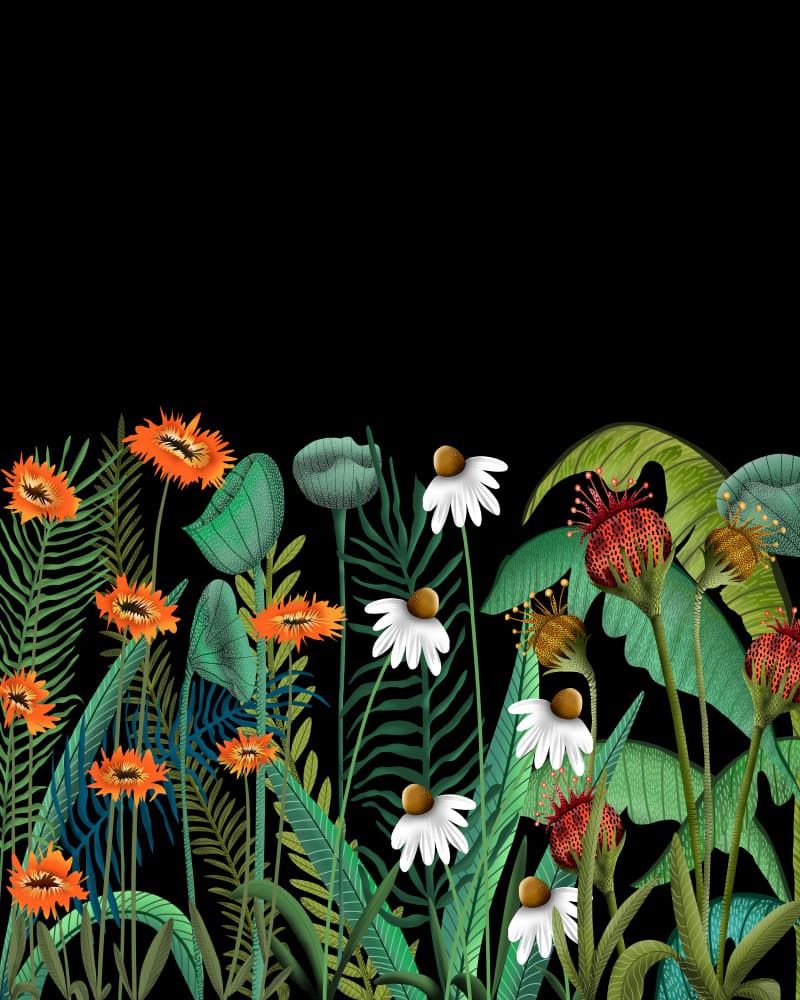 Dark Tropical Bloom by Uma Gokhale — canvas wall art