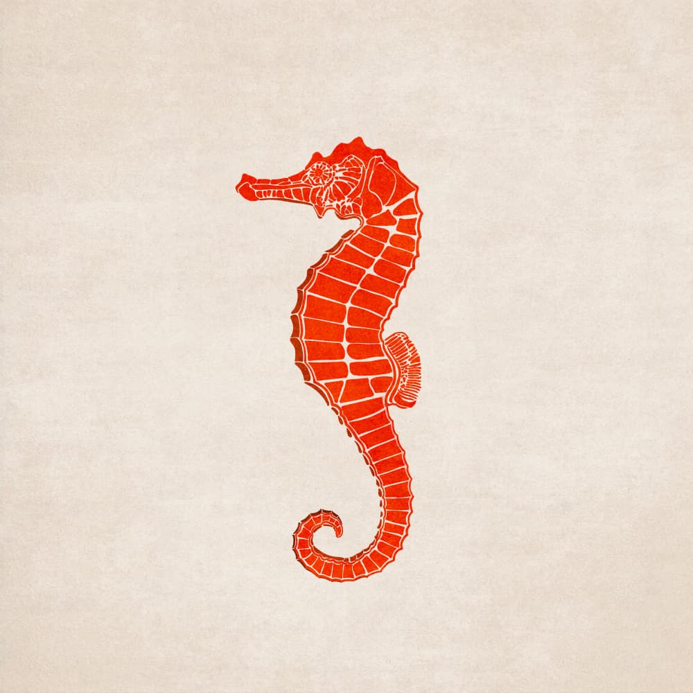 Crimson Seahorse by Emel Tunaboylu — canvas wall art