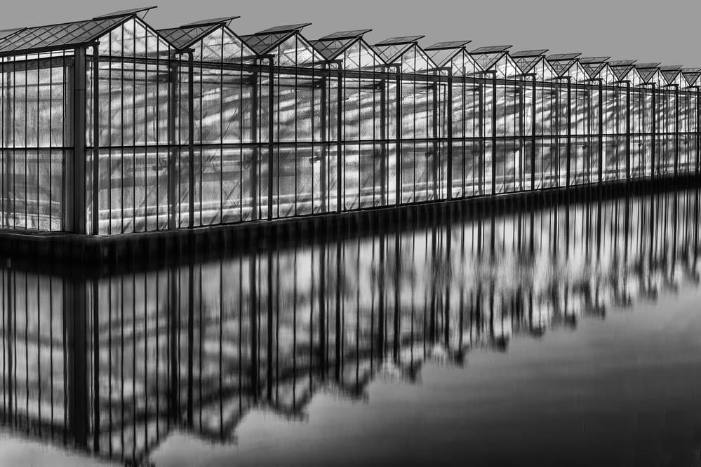 Glasshouse Water Reflections by Theo Luycx — canvas wall art