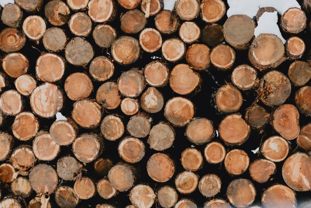 Stacked Logs and Snow by Javier Pardina — canvas wall art