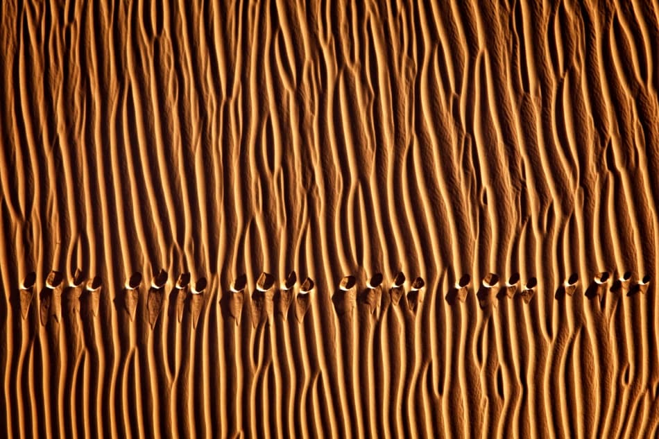 Golden Sand Pattern by Mohammadreza Momeni — canvas wall art