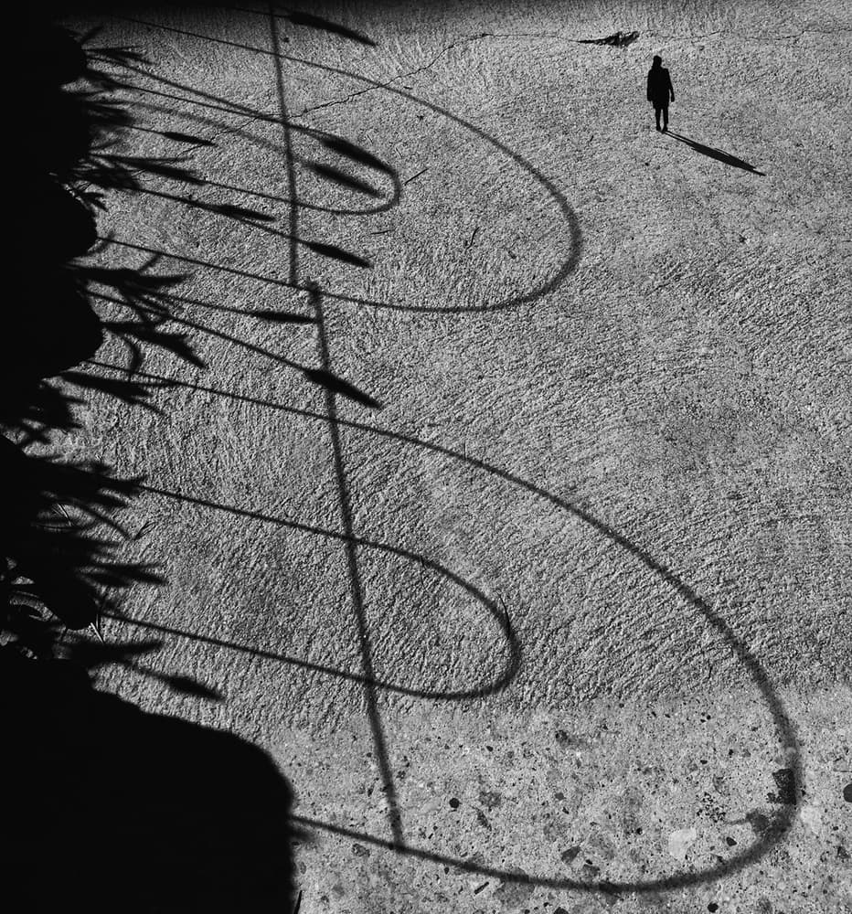 The walk by Roxana Labagnara — canvas wall art