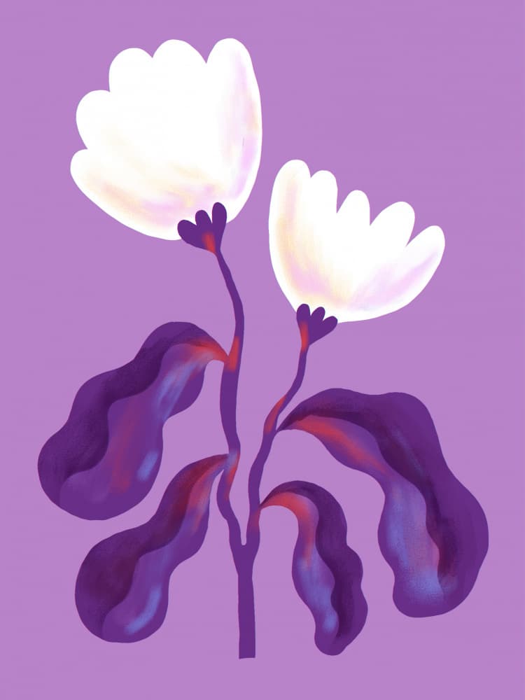 Modern Lavender Flowers