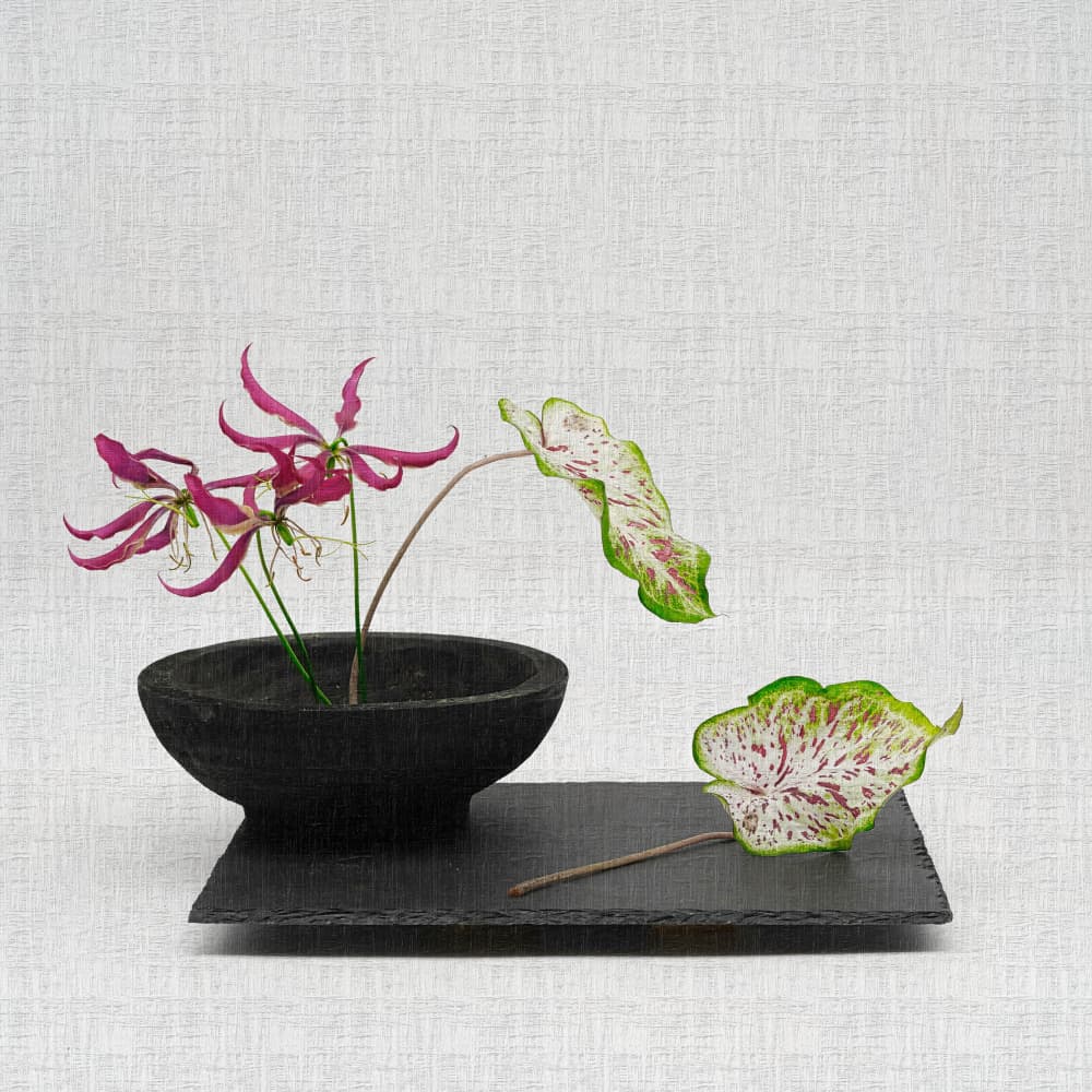 Elegant Botanical Arrangement by Saskia Dingemans — canvas wall art
